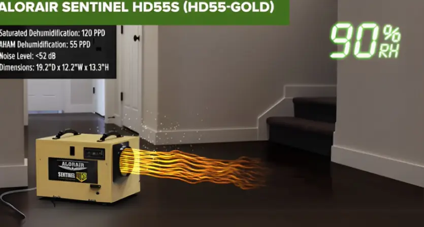 Best Dehumidifier for Healthier Air