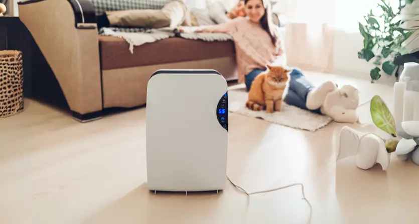 Dehumidifiers can improve perceived temperature