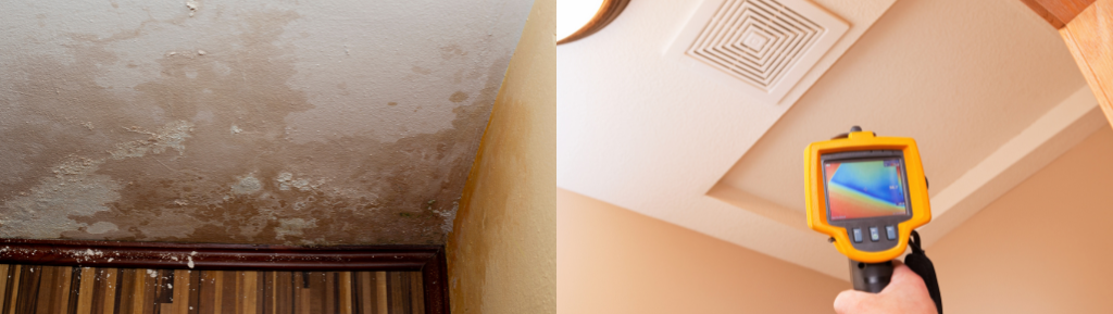 How to Kill Mould on Drywall and Wood