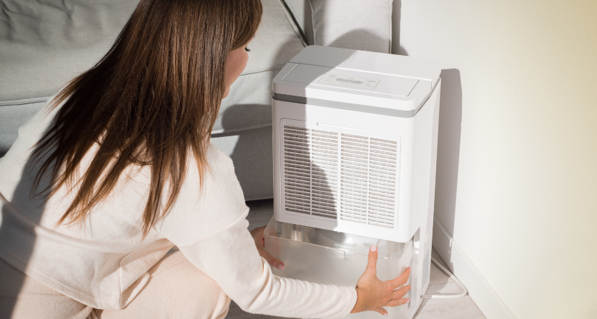 What Is a Desiccant Dehumidifier